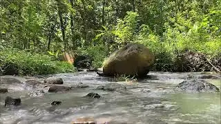 1 Hour Gentle Water Dripping and Distant River Sounds