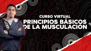 CURSO 