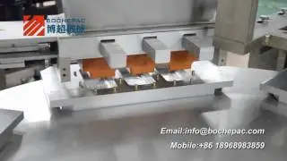 Automatic blister packing machine for seeds/beads packing machine
