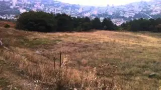 Gaui 330X-S Yalta