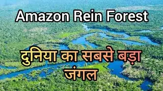 एमेजोन का जंगल  | Amazon Rein Forest | World's biggest forest | Amazon River