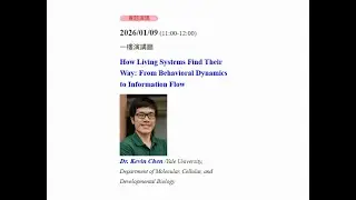 How Living Systems Find Their Way: From Behavioral Dynamics to Information Flow