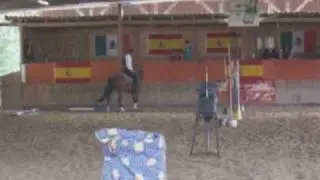Working Equitation, Speed Trail - Offene Klasse, Bentaiga Trophy, Pullman City 2010