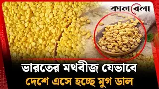 ভারতের মথবীজ যেভাবে দেশে এসে হচ্ছে মুগ ডাল | Mung Bean | Bazar Update | Kalbela