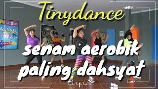 Duet Senam Aerobik paling Dahsyat Tinydance&Bodyfitbybagus|Aerobik+BL|senam perut|senam bakar lemak