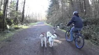 Two Dog Scooter @ John Wayne Pioneer Trail