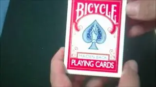 Bicycle Maiden Back Deck Review
