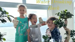 Staying Hydrated: The Water Drinking Challenge For Kids