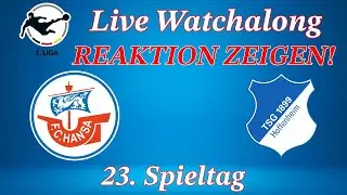 Sieg w&auml;re wichtig! | FC Hansa Rostock gegen TSG Hoffenheim II Live Watchalong