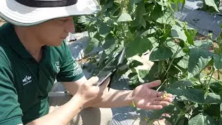 Behind the Seed with Jonathan Kressin