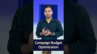 2 types of budget optimization techniques | Keeron