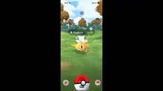 Al promo video for Pokemon~ I didn&rsquo;t even know this was a thing!