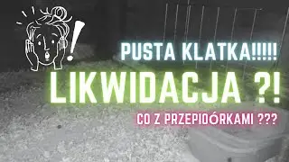 Hodowlana karuzela #przepiórki #króliki #rolnictwo #hodowla #hobby #pasja
