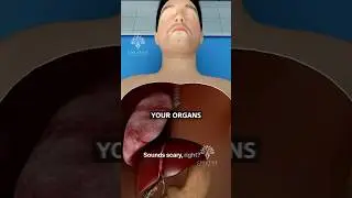Can You Survive With Just One Lung? 😨 Surgeon Reacts