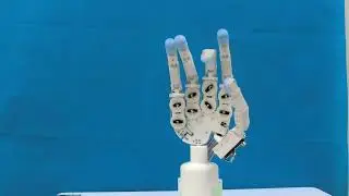Robotic hand with coupled tendon-driven fingers