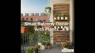 Small Balcony Decor with Plants | Simple Plant Setup for Small Spaces