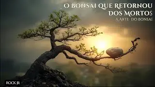O Bonsai Esquecido — Episódio 2 O Bonsai que Voltou da Morte e Ensinou o Sentido da Vida