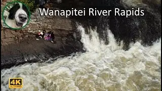 Wanapitei River Rapids  | Border Collie Tries His Best | Aerial Views