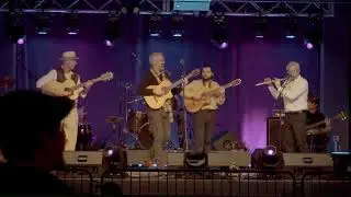 Daniel King - Oro &ndash; Live at Essex