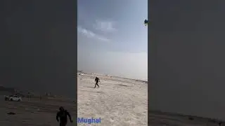 Mughal Kite club 🤣🤣🤣🤣