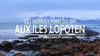 Les morues font du ski ... aux &icirc;les Lofoten, Ubac Images, Season1 Ski-trip1