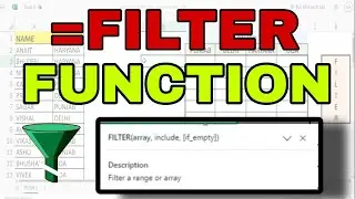 How To Use Excel Filter Function