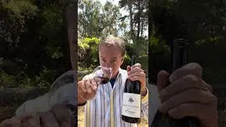 Bacchus Bruce 2017 Reichwage Carignane Mancini Ranch Vineyard Russian River Valley Wine Tasting