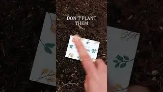 🛑 Never Plant 