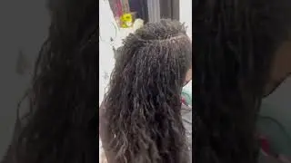 Bee Natural Locks