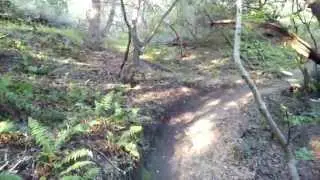 Prodeco Tech Outlaw SS - Downhill Through San Mateo Hills California