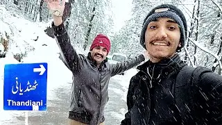 Thandiani Top Abbottabad | Hill Station of Pakistan | Thandiani Vlog 2022