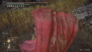 Dry leaf dane boss fight | NG+7 | Faith build | Easy guide | Elden ring shadow of the erdtree