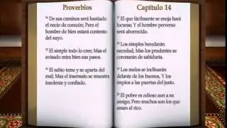 20  LA BIBLIA ' PROVERBIOS ' COMPLETO REINA VALERA ANTIGUO TESTAMENTO