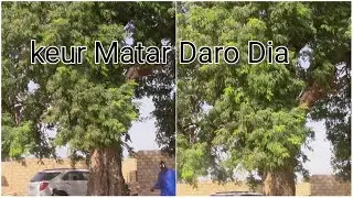 Jobass | secret bi nekh thi garab bou nek keur matar daro Dia