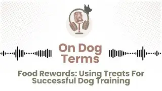 Food Rewards: How To Use Treats For Successful Dog Training