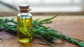 Extraction of Rosemary oil using a Soxhlet Fat extractor method.