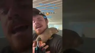 I love Prairie Dogs
