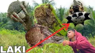 MADAMI ANG GAGAMBA NAKITA KO SA PAG SOLO GAGAMBA ADVENTURE