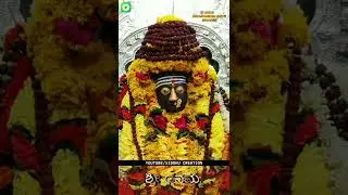 shree danammadevi song whatsapp status Guddapur shree danammadevi temple in movemet
