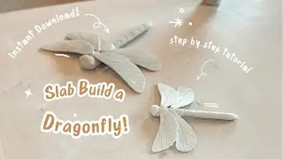 Dragonfly YouTube Video