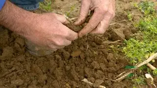 Soil Biology - Kevin Kalb 30s Spot Social 720.mp4