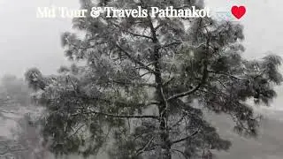 Shimla Mein Barafbari ❄️😱 Full Snow Experience | Shimla Snowfall Today #ytshorts #shorts