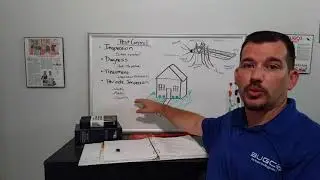 What Is Pest Control for San Antonio Homeowners and Businesses | BUGCO Pest Control San Antonio TX