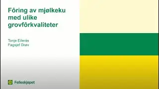 L&oslash;nnsomt grovf&ocirc;r - fra dyrking til f&ocirc;ring - f&ocirc;ring av mj&oslash;lkeku med ulik grovf&ocirc;rkvalitet