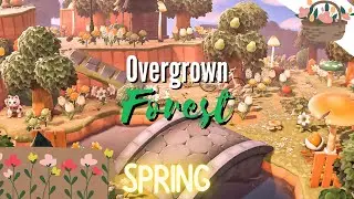 OVERGROWN SPRINGCORE ISLAND TOUR | FOREST WITH CUTE AREAS! Animal Crossing New Horizons//Cotton Lace