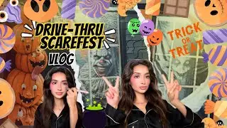 🎪 НАПАДЕНИЕ СОБАКИ И КЛОУНОВ⁉️🤡 Предательство⚠️Травма⁉️😭 Пугающий автопроезд👻 Видеоблог Айши Рани...