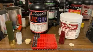 10GA 24 Pellet 00 Buck