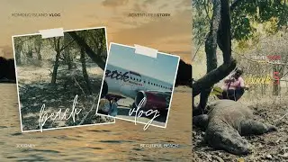 Bali to Labuan Bajo ✈️ | Komodo Dragons, Pink Beach & Wild Island Adventures 🇮🇩