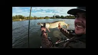 Early autumn Pike trip south Denmark | Savage gear high rider v2 | Danish