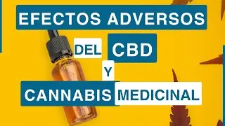 Efectos Adversos del CBD y Cannabis Medicinal